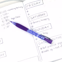 Pentel Icy Automatic Pencil  0.5mm  Violet Barrel  Box of 12 (AL25TV) (Appearance may vary)