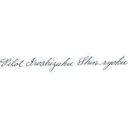 PILOT Iroshizuku Bottled Fountain Pen Ink  Shin-Ryoku  Forest Green (D