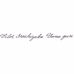 PILOT Iroshizuku Bottled Fountain Pen Ink  Yama-Guri  Wild Chestnut (D