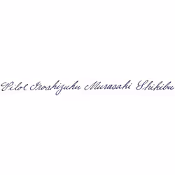 PILOT Iroshizuku Bottled Fountain Pen Ink  Murasaki-shikibu  Japanese