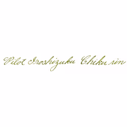 PILOT Iroshizuku Bottled Fountain Pen Ink  Chiku-rin  Bamboo Forest (Light Green) 50ml Bottle (69222)
