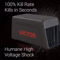 Victor M241 No Touch, No See Upgraded Electronic Rat Trap