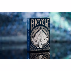 Bicycle DRAGON