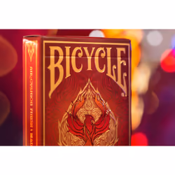 Bicycle FYREBIRD - Additional view 5