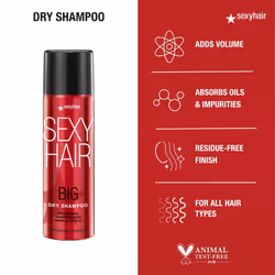 SexyHair Big Dry Shampoo  3.4 Oz | Remove Oils and Impurities | Provides Additional Volume | All Hair Types