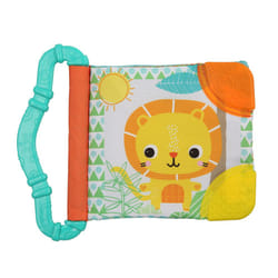 Bright Starts Teethe & Read teether