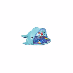 Explore & Go Whale Gym