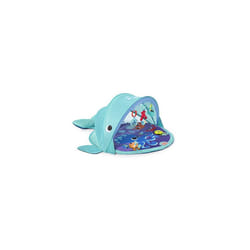 Explore & Go Whale Gym