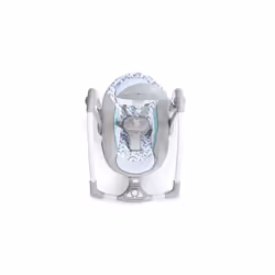 Ingenuity ConvertMe Swing-2-Seat - Raylan, 1.85 kg, 12189 - Additional view 5