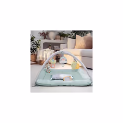 Ingenuity Calm Springs Plush Activity Gym for Baby, Ultra-Soft Premium Mat, Toys