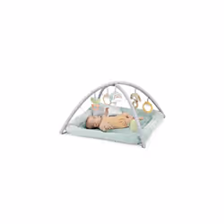 Ingenuity Calm Springs Plush Activity Gym for Baby, Ultra-Soft Premium Mat, Toys - Additional view 4