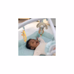 Ingenuity Calm Springs Plush Activity Gym for Baby, Ultra-Soft Premium Mat, Toys - Additional view 6