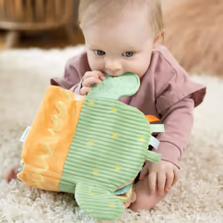 Calm Springs Soft Teething Activity Book - Multi-Texture Crinkle, Teether, Number Learning, Mirror, Unisex, for Ages 0-36 Months