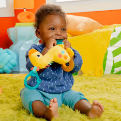 Bright Starts Safari Soother Rattle & Teether Toy for Stroller and On-The-Go - Giraffe - Unisex  Newborn +