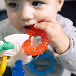 Baby Einstein Ocean Explorers Sea of Sensory Teether Toy BPA Free  Ages 3 Months and up