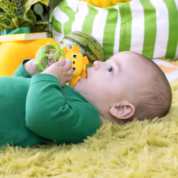 Bright Starts Soother Pals Easy-Grasp Teether Toys  2-Pack Lion and Elephant Characters  BPA Free  Unisex  Ages Newborn +