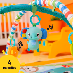 Wild Wiggles Baby Activity Gym & Play Mat with Taggies, Newborn and up - Green, 18.5x29.1x29.1 Inch
