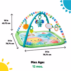 Wild Wiggles Baby Activity Gym & Play Mat with Taggies, Newborn and up - Green, 18.5x29.1x29.1 Inch - Additional view 5