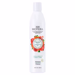 Biotera Long & Healthy Strengthening Shampoo | Strengthens Long Growing Hair | Microbiome Friendly | Vegan & Cruelty Free | ...