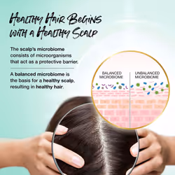 Biotera Long & Healthy Strengthening Shampoo | Strengthens Long  Growing Hair | Microbiome Friendly | Vegan & Cruelty Free | Paraben Free | Color-Safe