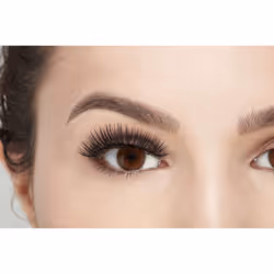 Faux Mink 817 Twin Pack