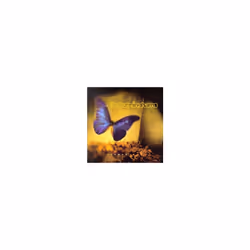 Zeroed Out - The Cunninghams - CD