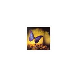 Zeroed Out - The Cunninghams - CD