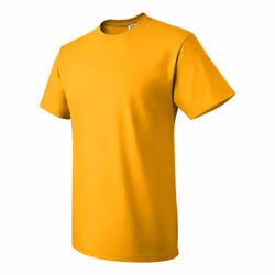Fruit Of The Loom HD Cotton Short Sleeve T-Shirt - L, Gold