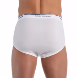 Fruit of the Loom Men's 7-Pack Basic Brief  White  Small