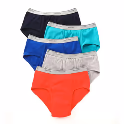 Fruit of the Loom 5pk Fashion Briefs Large Colors May Vary Assorted