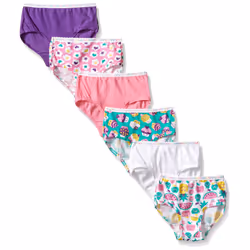Fruit of the Loom Little Girls Wardrobe Brief  Assorted 2T3TPack of 6