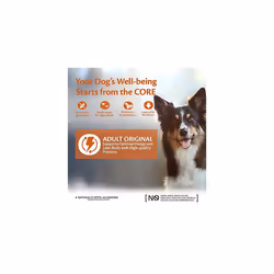 Wellness CORE Original, Dog Food Dry, Grain Free - Turkey & Chicken, 10 kg