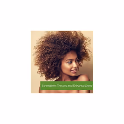 COSMETICS - Ultra-Moist Shampoo With Avocado And Olive Oil (24 Ounce)