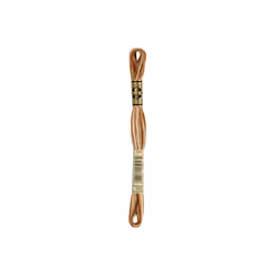 Dmc 6-Strand Embroidery Cotton 8.7yd-Variegated Brown