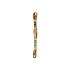 Dmc 6-Strand Embroidery Cotton 8.7yd-Variegated Brown