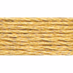 DMC 117422 Six Stranded Cotton Embroidery Floss Light Hazelnut Brown 87Yard