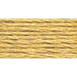 DMC 117422 Six Stranded Cotton Embroidery Floss  Light Hazelnut Brown  87Yard