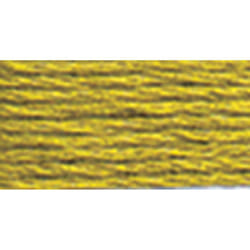 Dmc 6-Strand Embroidery Cotton 8.7yd-Medium Olive Green