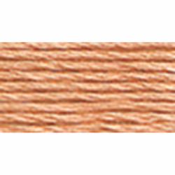 Dmc 6-Strand Embroidery Cotton 8.7yd-Very Light Terra Cotta