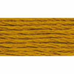 Dmc 6-Strand Embroidery Cotton 8.7yd-Very Dark Topaz