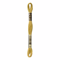 DMC Mouline floss/skein for sewing/embroidery - 8 metres - 834 - Golden Olive, Very Light