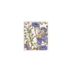 Forget Me Not and Cornflower Flower Fairies Counted Cross Stitch Kit