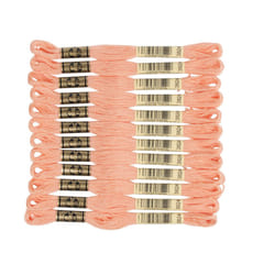 DMC 6-Strand Embroidery Cotton Floss  Light Apricot