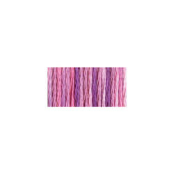 DMC Color Variations 6-Strand Embroidery Floss 8.7yd-Enchanted 417F-4260