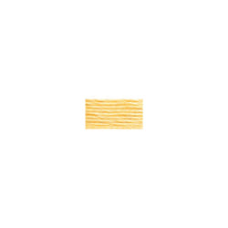 DMC Satin Floss 8.7yd-Light Yellow 1008F-S745