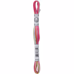 DMC Coloris 6-Strand Embroidery Cotton Floss 8.7yd-Camelia -517-4502
