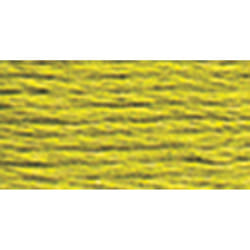 DMC 117-166 Mouline Stranded Cotton Six Strand Embroidery Floss Thread  Medium Light Moss Green  8.7-Yard