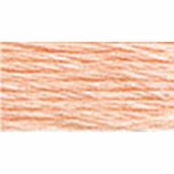 Dmc 6-Strand Embroidery Cotton 8.7yd-Very Light Apricot-Lighter Than 3824