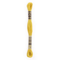 DMC 6-Strand Embroidery Cotton 8.7yd - Yellow Plum