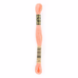 DMC 6-Strand Embroidery Cotton 8.7yd-Shrimp
